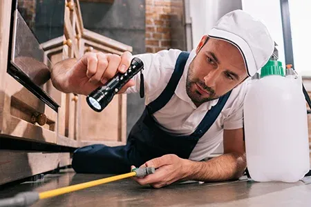 pest control technician inspecting home