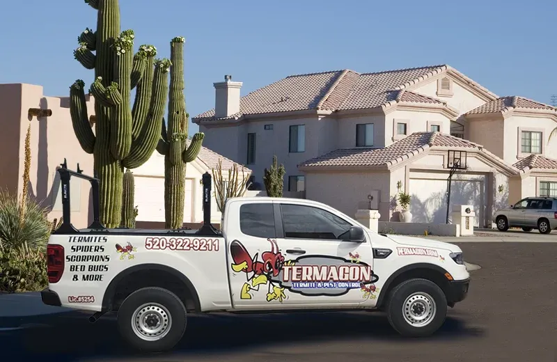 Termagon Termite and Pest Control truck