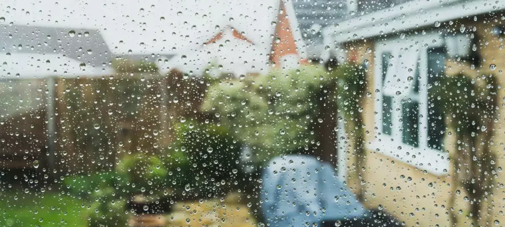 rain-on-window